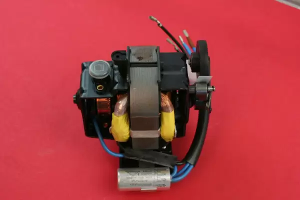 Motor für Elna Star Serie 110/220V